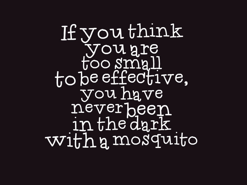 Mosquito Quote - Awesome Quotes About Life