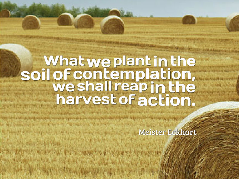 What we plant in the soil of contemplation, we shall reap in the harvest of action